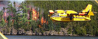 Northeast Fire Region : Forest Fire Situation Update