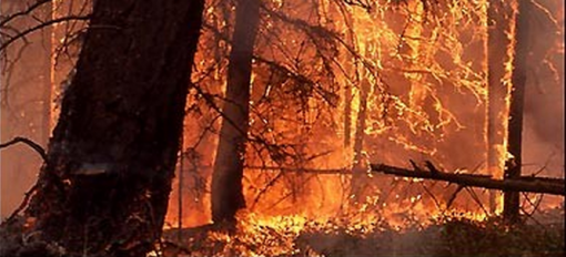 Forest Fire Situation Update Northeast Region